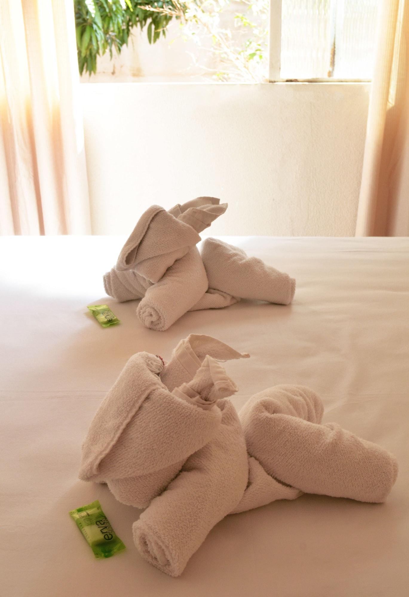 Iguacu Plaza Hotel Фос-ду-Іґуасу Екстер'єр фото